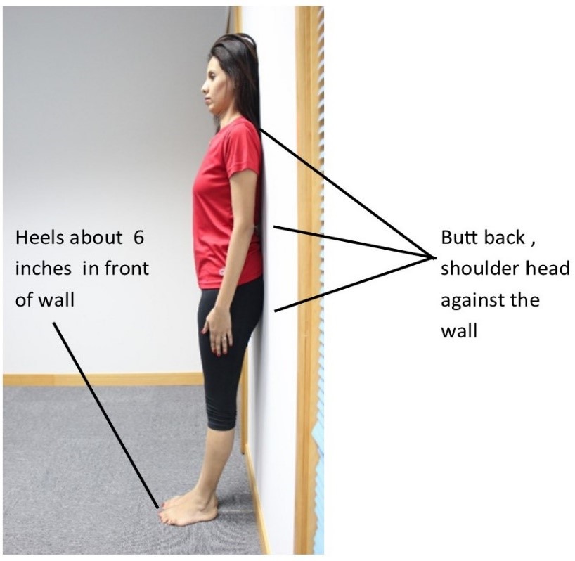 Standing wall best sale posture exercise